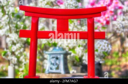 Torii-Tor mit Birnen- und Kirschblüten im Hintergrund Stockfoto