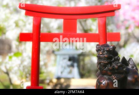 Torii-Tor mit Birnen- und Kirschblüten im Hintergrund Stockfoto