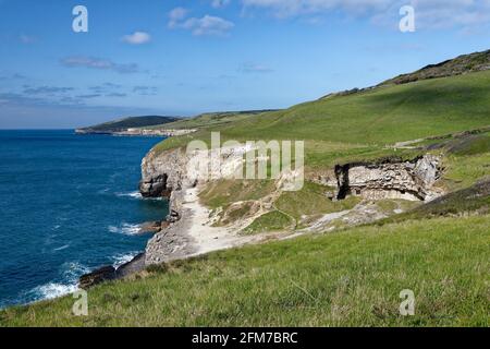 Dancing Ledge & Purbeck Coast, Dorset. Blick nach Westen mit Seacombe Cliff und West man (St. Aldhelm.s Head) in der Didtance Stockfoto