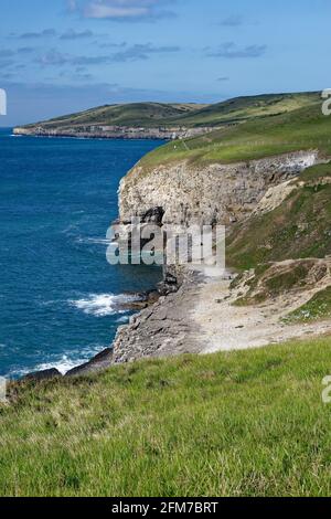 Dancing Ledge & Purbeck Coast, Dorset. Blick nach Westen mit Seacombe Cliff und West man (St. Aldhelm.s Head) in der Didtance Stockfoto