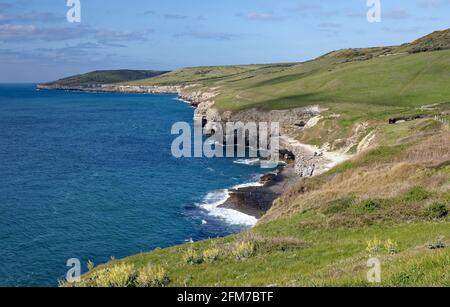 Dancing Ledge & Purbeck Coast, Dorset. Blick nach Westen mit Seacombe Cliff und West man (St. Aldhelm.s Head) in der Didtance Stockfoto