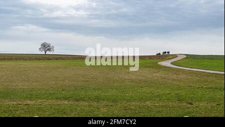 Ein minimalistisches Bild einer Gruppe von Menschen, die hinunter gehen Eine Straße in der Ferne und ein einbunter Baum Die Linke Stockfoto