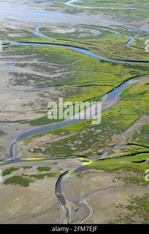 Luftaufnahme der Flussmündung des Chemainus, Chemainus Valley, Vancouver Island, British Columbia, Kanada. Stockfoto