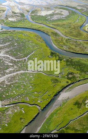 Abstrakte Luftaufnahme der Flussmündung des Chemainus, Vancouver Island, British Columbia, Kanada. Stockfoto