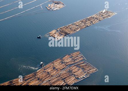 Baumstamm und Schlepper im Ladysmith Harbour, Vancouver Island Luftaufnahmen, British Columbia, Kanada. Stockfoto