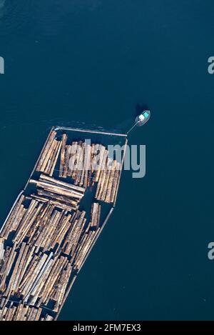 Der Baumboom wird im Ladysmith Harbour, Vancouver Island Luftaufnahmen, British Columbia, Kanada, geschleppt. Stockfoto