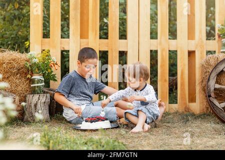 Jungs haben Spaß zusammen. Kinder auf einem Picknick in der Natur Viel Spaß. Stockfoto