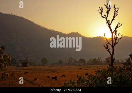 Sonnenaufgang im abgelegenen Chuka Village am Ufer des Sarda-Flusses, berühmt gemacht durch Jim Corbett in seinem Buch Maneaters of Kumaon, Uttarakhand, Indien Stockfoto