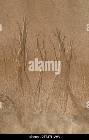 Australische Strandtextur Stockfoto