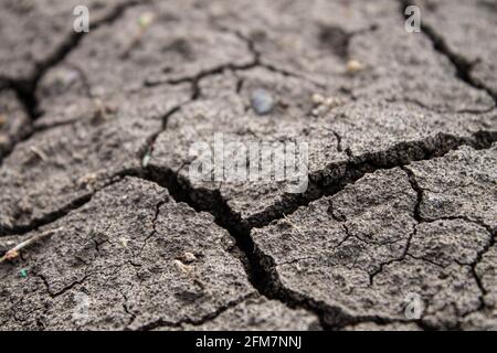 Tiefe Risse im Boden. Der trockene Boden rissig. Schwarzer Boden mit tiefen Spaltungen. Die Folgen eines Erdbebens. Stockfoto