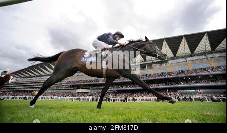 ROYAL ASCOT 2009. 3rd TAGE. DER GOLD CUP. JONNY MURTAGH AUF YEATS GEWINNT EINEN REKORD VON 4TH MAL. 18/6/09. BILD DAVID ASHDOWN Stockfoto