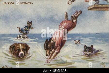 William Henry Ellam Kunstwerk mit dem Titel Mixed Bathing - Cats and Dogs. Stockfoto