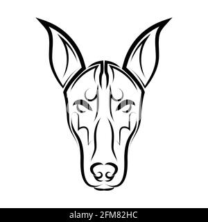 Schwarz-weiße Linienkunst des Dobermann Pinscher Hundekopfes. Gute Verwendung für Symbol, Maskottchen, Symbol, Avatar, Tattoo, T-Shirt-Design, Logo oder ein beliebiges Design Stock Vektor