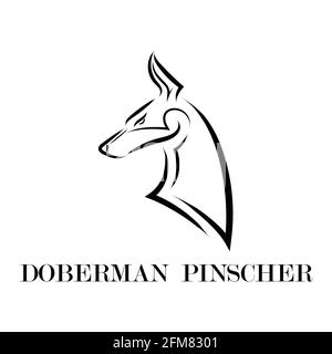 Schwarz-weiße Linienkunst des Dobermann Pinscher Hundekopfes. Gute Verwendung für Symbol, Maskottchen, Symbol, Avatar, Tattoo, T-Shirt-Design, Logo oder ein beliebiges Design Stock Vektor