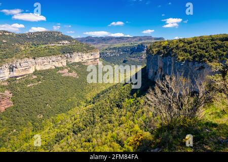 Blick auf die Klippen der Tavertet aus dem Norden. Collsacabra, Osona, Katalonien, Spanien Stockfoto