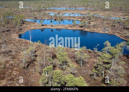 Luftansicht des großen Ķemeri-Hochbosses in Kemeru Nationalpark Lettland Stockfoto