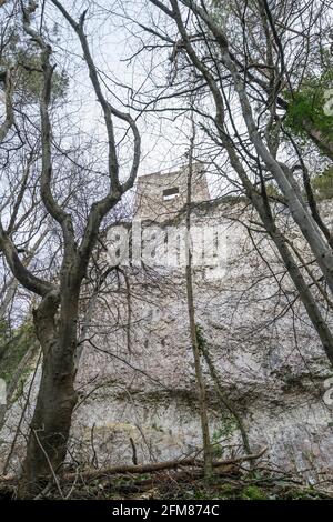 Lady Emily Heskeths Jagdschloss-Turmruine in der Nähe von Abergele an der nordwalesischen Küste in großbritannien in den Wäldern der Burg Gwrych. Stockfoto