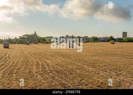 Strohkugeln in einem ländlichen Feld in der mallorquinischen Stadt Von Porreres im Morgengrauen Stockfoto