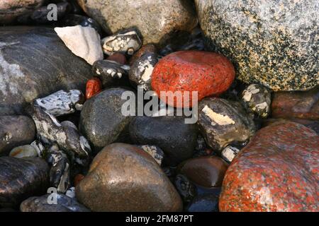 Nahaufnahme von bunten, nassen Steinen, Kreide und Kies an der Steilküste der Ostsee auf Rügen, Deutschland Stockfoto