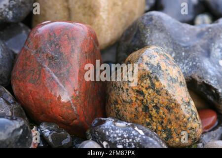 Nahaufnahme von bunten, nassen Steinen, Kreide und Kies an der Steilküste der Ostsee auf Rügen, Deutschland Stockfoto