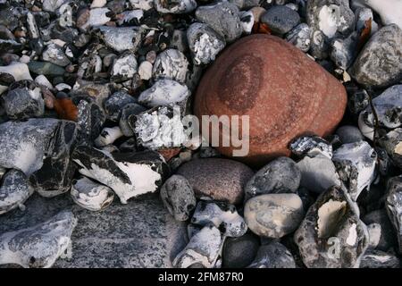 Nahaufnahme von bunten, nassen Steinen, Kreide und Kies an der Steilküste der Ostsee auf Rügen, Deutschland Stockfoto