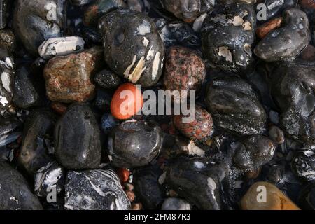 Nahaufnahme von bunten, nassen Steinen, Kreide und Kies an der Steilküste der Ostsee auf Rügen, Deutschland Stockfoto