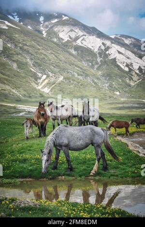 Ein weiterer Tag im kleinen Tibet, Italien. Stockfoto