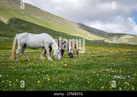 Ein weiterer Tag im kleinen Tibet, Italien. Stockfoto