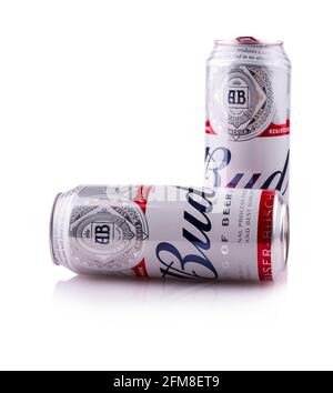 PETROPAVLOVSK-KAMTSCHATSKY, KAMTSCHATKA- OCT 25, 2016 : zwei Metallflaschen Budweiser-Bier auf weißem Grund. Stockfoto