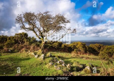 Blick vom East Hill, einem kleinen Hügel im nördlichen Teil von Dartmoor in der Nähe von Okehampton, Dartmoor National Park, Devon, England, Großbritannien Stockfoto