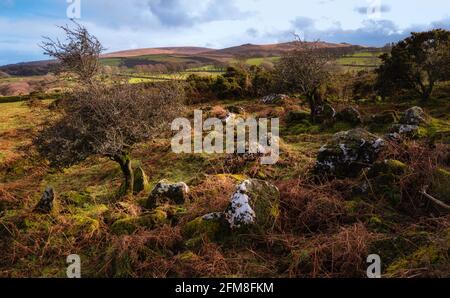 Blick vom East Hill, einem kleinen Hügel im nördlichen Teil von Dartmoor in der Nähe von Okehampton, Dartmoor National Park, Devon, England, Großbritannien Stockfoto