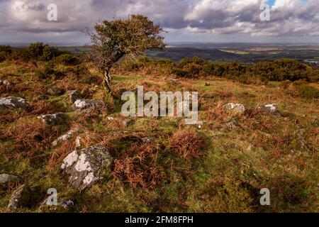 Blick vom East Hill, einem kleinen Hügel im nördlichen Teil von Dartmoor in der Nähe von Okehampton, Dartmoor National Park, Devon, England, Großbritannien Stockfoto