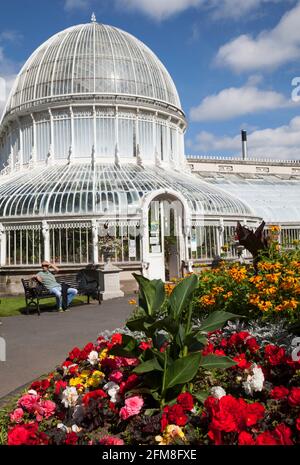 Das Gewächshaus im Botanischen Garten, Belfast, Nordirland, mit einem Garten mit Begonien. Stockfoto