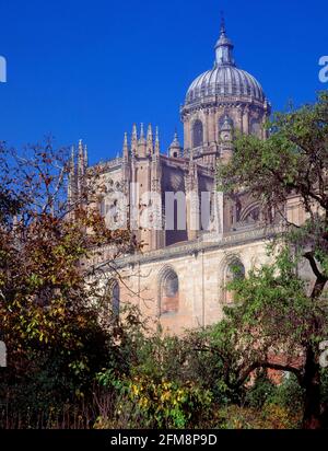 CUPULA DE LA CATEDRAL NUEV -. Lage: CATEDRAL IN DER STADT. SALAMANCA. SPANIEN. Stockfoto