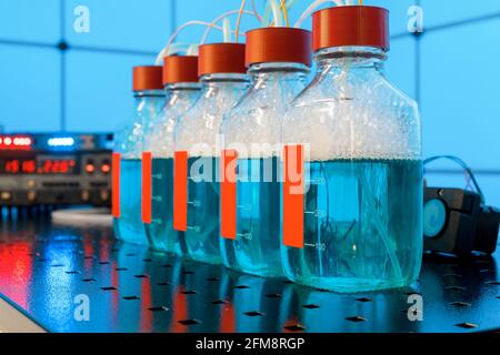 Biowasserstoff-Droduktionsforschung durch Fermentation. Die Fermentation von nachwachsenden Rohstoffen durch Bakterien erfolgt in der dunklen Gärung Resea Stockfoto