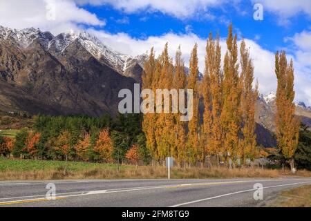 The Remarkables, eine Bergkette auf der Südinsel Neuseelands. Im Vordergrund befindet sich eine Autobahn und eine Reihe herbstlicher Pappelbäume Stockfoto