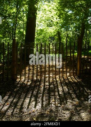 Starke Herbstsonne, die durch grüne Waldblätter rieselt; ein Holzzaun wirft scharfe Schatten auf einen Feldweg. Stockfoto