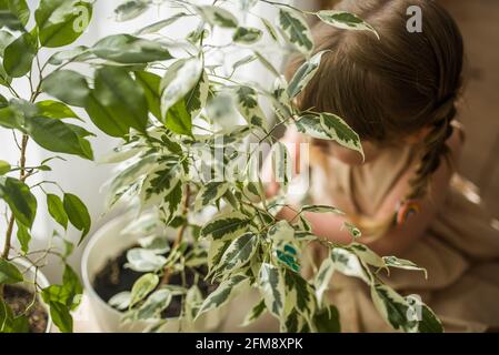 Happy kleine niedliche Baby Mädchen kümmert sich um Zimmerpflanzen. Mädchen Bewässerung und Spritzen Zimmerpflanzen zu Hause Stockfoto