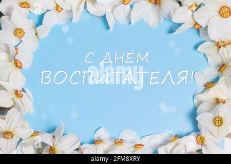 Weiße Narzissen blühen auf blauem Hintergrund mit der Inschrift zum russischen Happy Teacher's Day. Herzlichen Glückwunsch von der Kindergärtnerin. Stockfoto