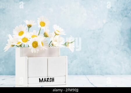 Weißer Würfelkalender für den März mit Gänseblümchen verziert Blauer Hintergrund mit Kopierbereich Stockfoto
