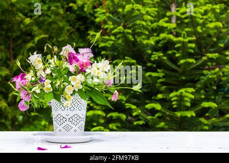 Bouquet von aquilegia, Jasmin und Kleeblüten in einer weißen Vase auf einem weißen Tisch auf einem grünen natürlichen Hintergrund mit einem Kopierraum Stockfoto