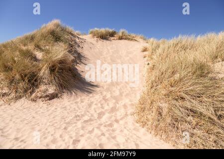 Sanddünen am Harlech Beach, Gwynedd, Wales Stockfoto