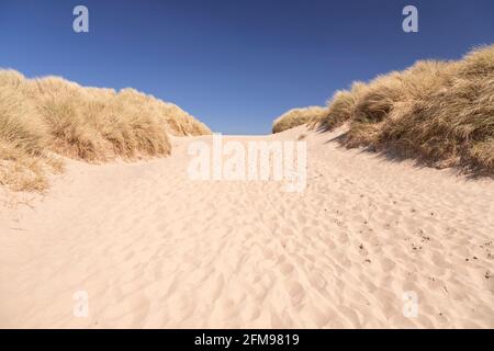 Sanddünen am Harlech Beach, Gwynedd, Wales Stockfoto