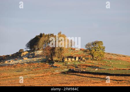 Morgenlicht, das die verlassene Farm von East Loups's auf dem Loups’s Hill, Teesdale, County Durham, Großbritannien, beleuchtet Stockfoto