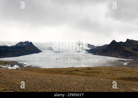 Eis vom Breioamerkurjokull-Gletscher (hinten) kält sich in den Fjallsarlon-Gletschersee im Vatnajokull-Nationalpark, Island. Stockfoto