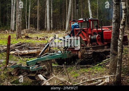 Ein Raupentraktor fährt durch eine Waldlichtung. Ein industrieller Bulldozer steckt im Schlamm fest. Lastwagen laufen im Boden Stockfoto