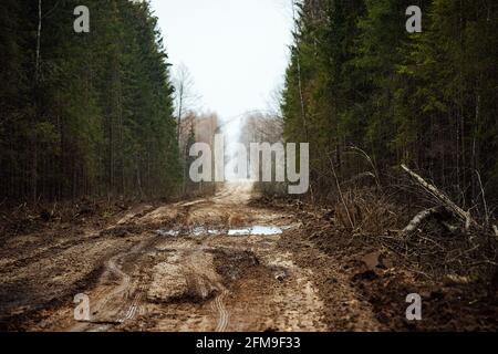 Ein Raupentraktor fährt durch eine Waldlichtung. Ein industrieller Bulldozer steckt im Schlamm fest. Lastwagen laufen im Boden Stockfoto