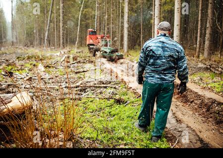 Ein Raupentraktor fährt durch eine Waldlichtung. Ein industrieller Bulldozer steckt im Schlamm fest. Lastwagen laufen im Boden Stockfoto