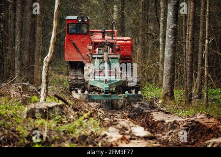 Ein Raupentraktor fährt durch eine Waldlichtung. Ein industrieller Bulldozer steckt im Schlamm fest. Lastwagen laufen im Boden Stockfoto