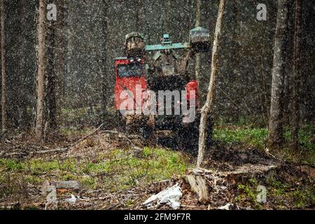 Ein Raupentraktor fährt durch eine Waldlichtung. Ein industrieller Bulldozer steckt im Schlamm fest. Lastwagen laufen im Boden Stockfoto